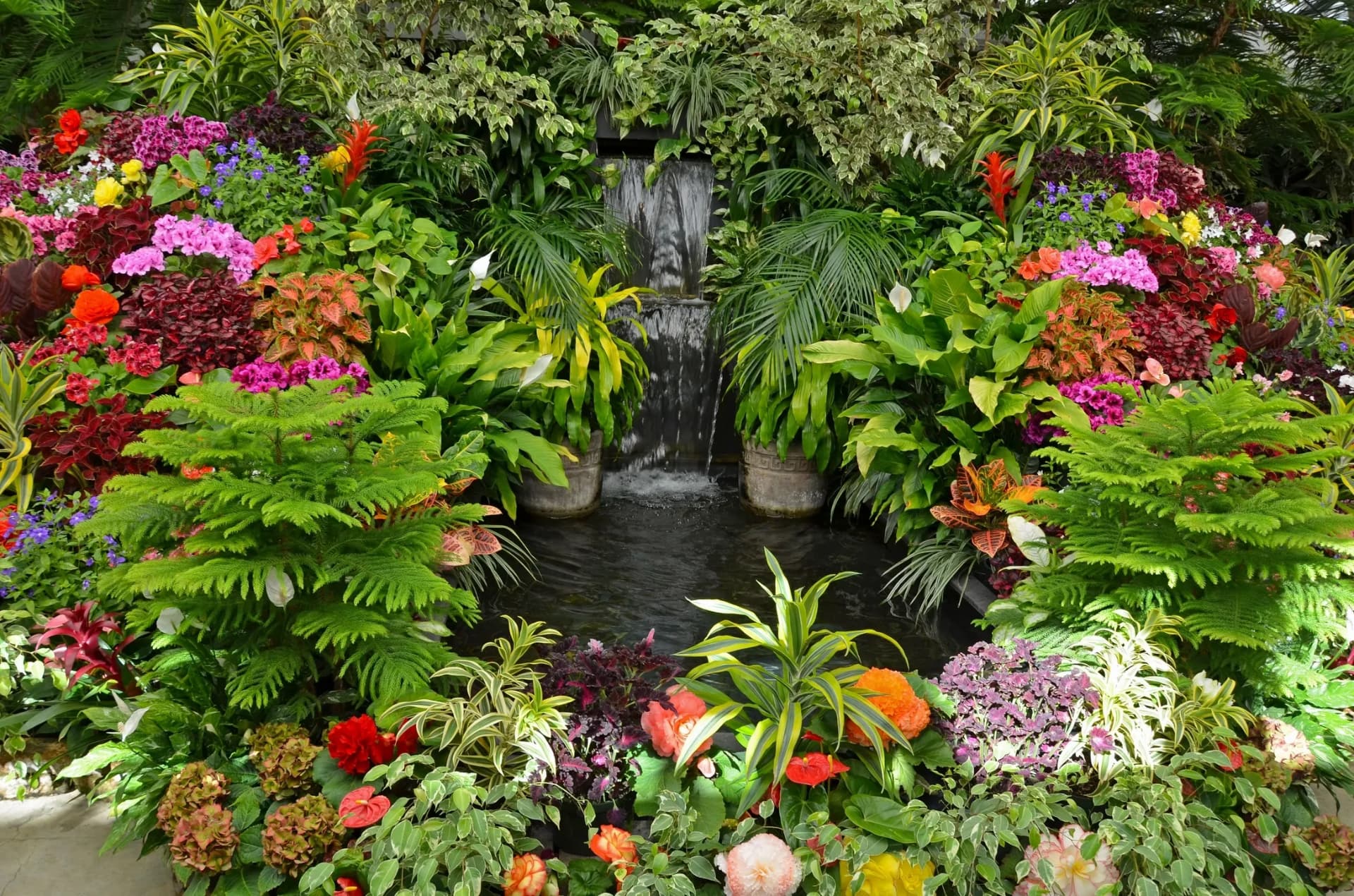 Colorful tropical garden surrounding a waterfall and pond created by Arbor Tree and Landscape